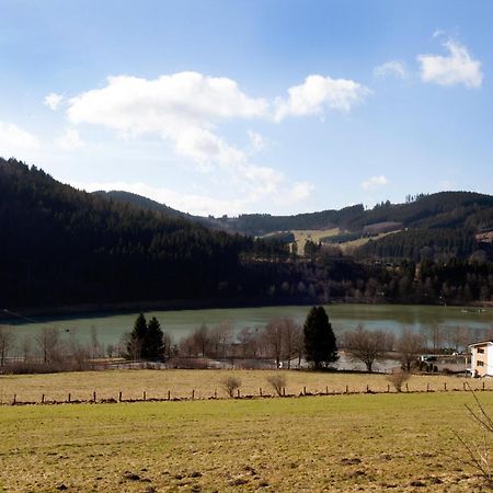 Apartmán Fewo Hoher Eimberg Niedersfeld Winterberg Exteriér fotografie