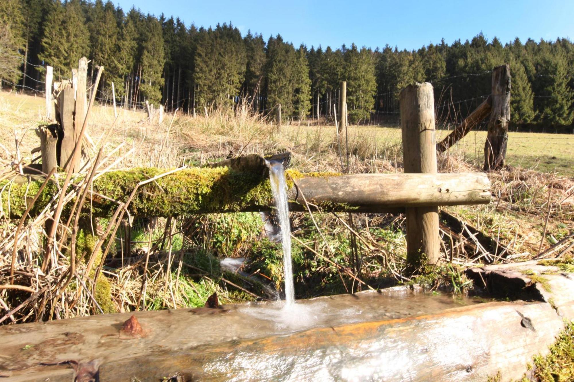 Apartmán Fewo Hoher Eimberg Niedersfeld Winterberg Exteriér fotografie